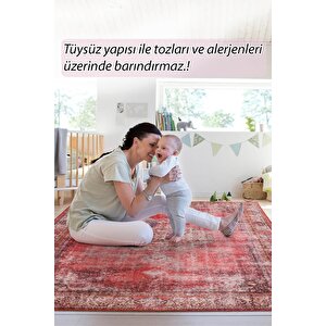 Blues Şönil Vintage Desenli Dokuma Taban Dekoratif Kırmızı Salon, Mutfak Halısı (al 119)