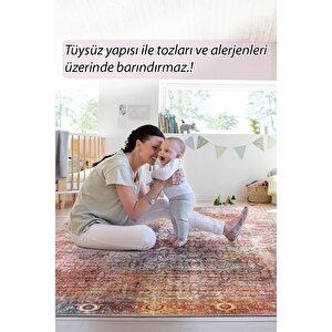 Folk Modern Dokuma Taban Dekoratif Renkli Halı (ba 41)