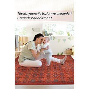 Eskitme Desenli Halı, Dokuma Taban Dekoratif Şönil Kırmızı Halı Dorian Al 227