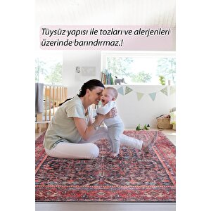 Vintage Eskitme Desenli Halı, Dokuma Taban Dekoratif Şönil Kırmızı Halı Blues Al 354