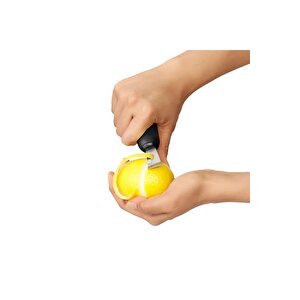 11261400 Gg Limon Rendesi