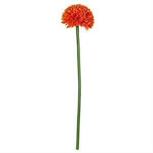 Turuncu Kadife Çiçeği 62 Cm Ak.bg0120-g Beyaz