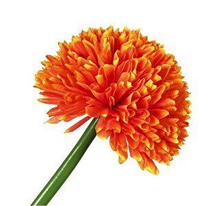 Vitale Turuncu Kadife Çiçeği 62 Cm Ak.bg0120-g