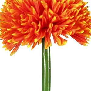 Vitale Turuncu Kadife Çiçeği 62 Cm Ak.bg0120-g
