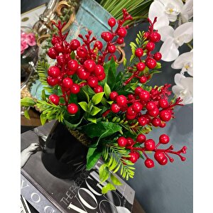 Yapay Çiçek Yılbaşı Çiçeği Kırmızı Kokina Siyah Saksıda 14 Dal 30*25cm