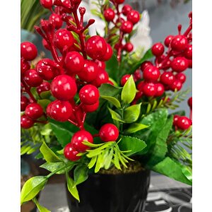 Yapay Çiçek Yılbaşı Çiçeği Kırmızı Kokina Siyah Saksıda 14 Dal 30*25cm