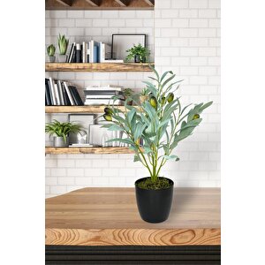 Yapay Zeytin Ağacı Saksıda 40cm 5 Dallı 10 Meyveli Pastel Yapay Çiçek Artificial Olive