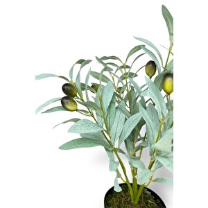 Yapay Zeytin Ağacı Saksıda 40cm 5 Dallı 10 Meyveli Pastel Yapay Çiçek Artificial Olive
