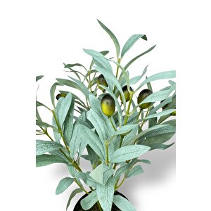 Yapay Zeytin Ağacı Saksıda 40cm 5 Dallı 10 Meyveli Pastel Yapay Çiçek Artificial Olive