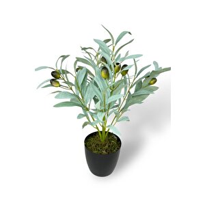 Yapay Zeytin Ağacı Saksıda 40cm 5 Dallı 10 Meyveli Pastel Yapay Çiçek Artificial Olive
