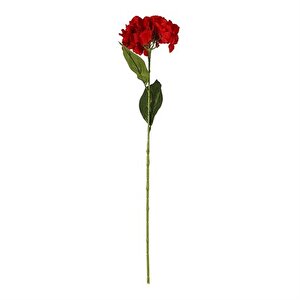 Vitale Ortanca Çiçeği Kırmızı 60 Cm Ak.bg0134-k