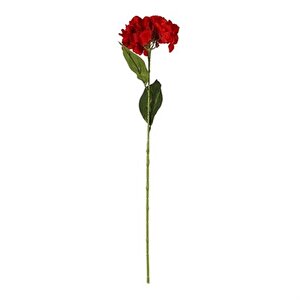 Vitale Ortanca Çiçeği Kırmızı 60 Cm Ak.bg0134-k