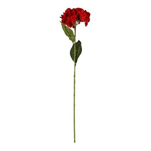 Vitale Ortanca Çiçeği Kırmızı 60 Cm Ak.bg0134-k