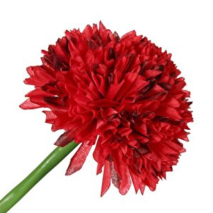 Kırmızı Kadife Çiçeği 62 Cm Ak.bg0120-k Beyaz