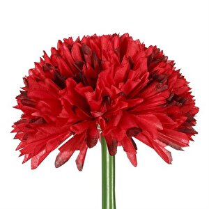 Kırmızı Kadife Çiçeği 62 Cm Ak.bg0120-k Beyaz