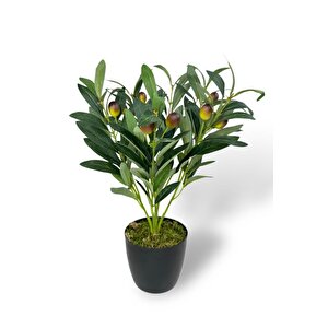 Yapay Zeytin Ağacı Saksıda 40cm 5 Dallı 10 Meyveli Yapay Çiçek Artificial Olive
