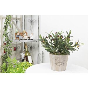 Yapay Zeytin Ağacı Saksıda 40cm 5 Dallı 10 Meyveli Yapay Çiçek Artificial Olive