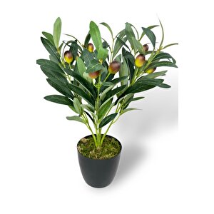 Yapay Zeytin Ağacı Saksıda 40cm 5 Dallı 10 Meyveli Yapay Çiçek Artificial Olive