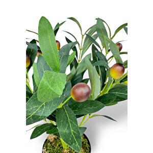 Yapay Zeytin Ağacı Saksıda 40cm 5 Dallı 10 Meyveli Yapay Çiçek Artificial Olive