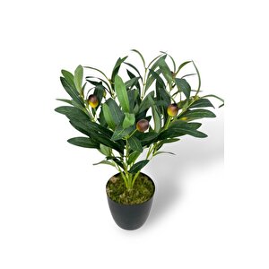 Yapay Zeytin Ağacı Saksıda 40cm 5 Dallı 10 Meyveli Yapay Çiçek Artificial Olive