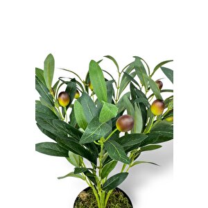 Yapay Zeytin Ağacı Saksıda 40cm 5 Dallı 10 Meyveli Yapay Çiçek Artificial Olive