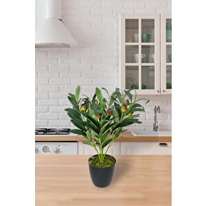 Yapay Zeytin Ağacı Saksıda 40cm 5 Dallı 10 Meyveli Yapay Çiçek Artificial Olive