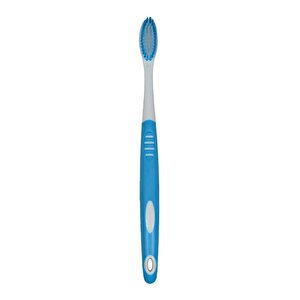 Temel Diş Modeli Fırçalı 12 Cm
