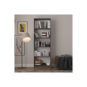 5 Raflı (5 Bölmeli̇) Kitaplık Çalışma Odası Ofis Modern Dekoratif Kitaplık Akça Ağaç Antrasit Gri