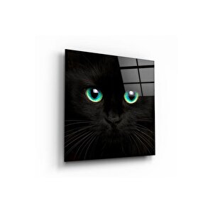 Kedi Cam Tablo | Hediyelik, Dekoratif, Ofis, Mutfak 30x30 cm