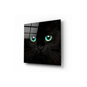 Kedi Cam Tablo | Hediyelik, Dekoratif, Ofis, Mutfak 30x30 cm