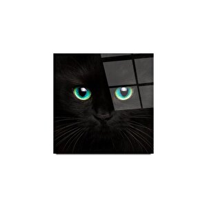 Kedi Cam Tablo | Hediyelik, Dekoratif, Ofis, Mutfak 30x30 cm