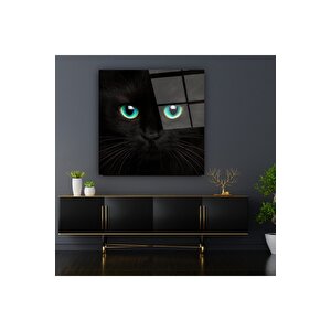 Kedi Cam Tablo | Hediyelik, Dekoratif, Ofis, Mutfak