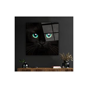 Kedi Cam Tablo | Hediyelik, Dekoratif, Ofis, Mutfak
