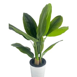 Yapay Starliçe Muz Ağacı Beyaz Kumsal Vazoda Muz Ağacı Yapay Starliçe 150cm 12 Yaprak