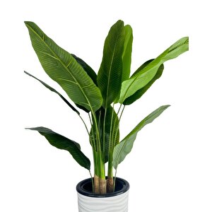 Yapay Starliçe Muz Ağacı Beyaz Kumsal Vazoda Muz Ağacı Yapay Starliçe 150cm 12 Yaprak