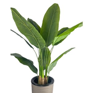 Yapay Starliçe Muz Ağacı Dore Kumsal Vazoda Muz Ağacı Yapay Starliçe 150cm 12 Yaprak