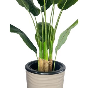 Yapay Starliçe Muz Ağacı Dore Kumsal Vazoda Muz Ağacı Yapay Starliçe 150cm 12 Yaprak
