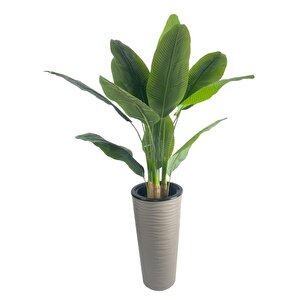 Yapay Starliçe Muz Ağacı Dore Kumsal Vazoda Muz Ağacı Yapay Starliçe 150cm 12 Yaprak