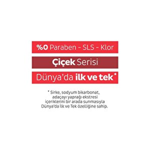 Easy Clean Kiraz Çiçeği Yüzey Temizlik Havlusu 12x100 (1200 Yaprak)