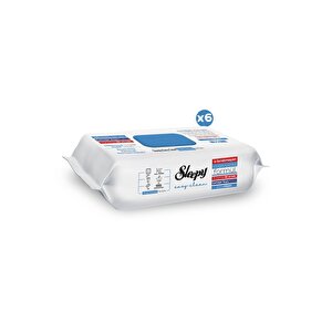 Easy Clean Çamasır Suyu Katkılı Yüzey Temizlik Havlusu 6x100 (600 Yaprak)
