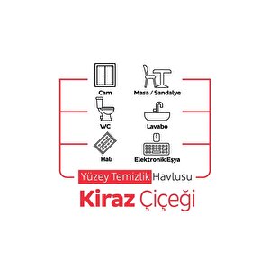 Easy Clean Kiraz Çiçeği Yüzey Temizlik Havlusu 3x100 (300 Yaprak)