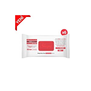Easy Clean Kiraz Çiçeği Yüzey Temizlik Havlusu 6x100 (600 Yaprak)