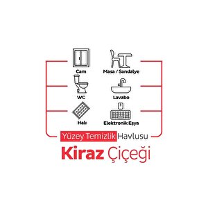 Easy Clean Kiraz Çiçeği Yüzey Temizlik Havlusu 6x100 (600 Yaprak)