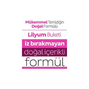 Easy Clean Lilyum Buketi + Orkide Bahçesi + Kiraz Çiçeği 3x100 (300 Yaprak)