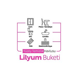 Easy Clean Lilyum Buketi Yüzey Temizlik Havlusu 6x100 (600 Yaprak)