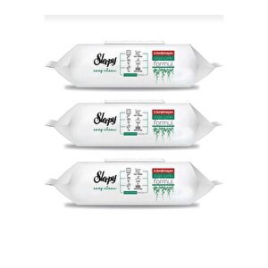 Easy Clean Yüzey Tem. Havlusu 100 X3 Adet