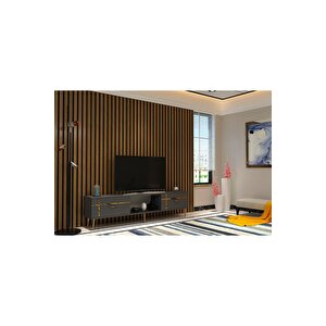 Li̇nedh Tv Sehpasi Antrasi̇t Altın Antrasit Gold