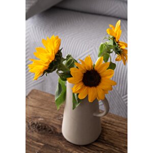 Çi̇ft Ki̇şi̇li̇k Yatak Örtüsü Set Savoy Gri - Yatak Ortusu Set