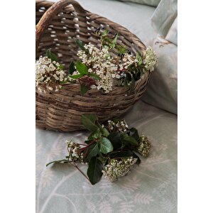 Tek Ki̇şi̇li̇k Pike Takimi Elysian Adacayi - Pike Takimi