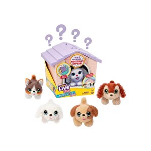 Llp Yavru Köpeğim Ve Evi Sürpriz Paket Mor Çatı Lpp01110